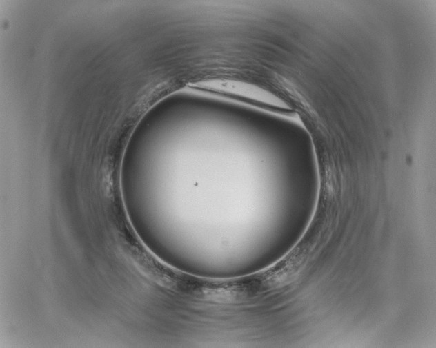 X0000066080259200603241439