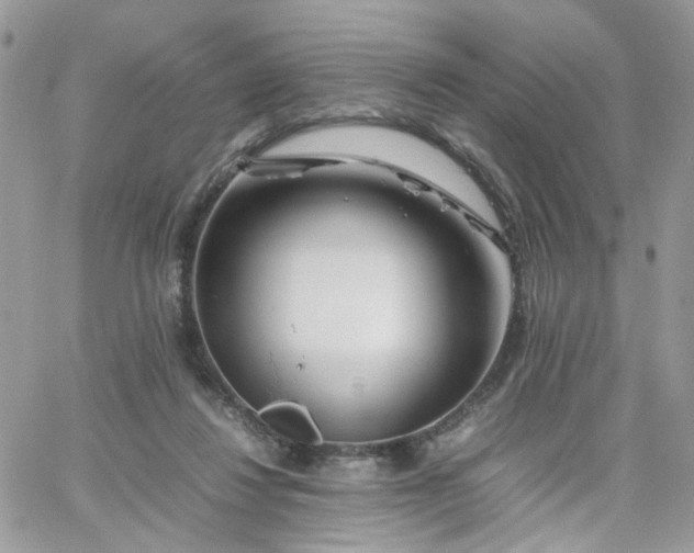 X0000066080260200603241439