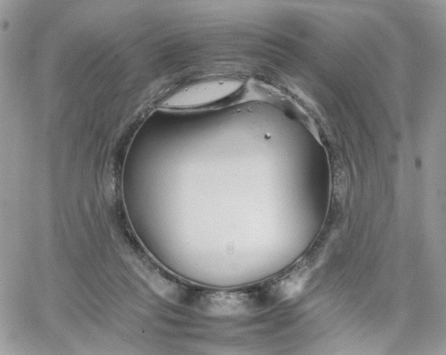 X0000066080261200603241439