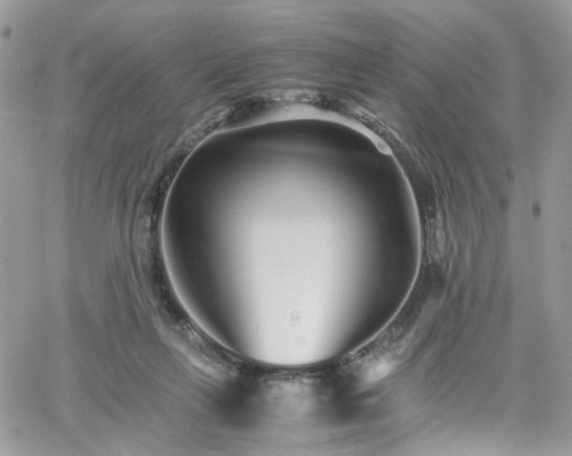 X0000066080263200603241439