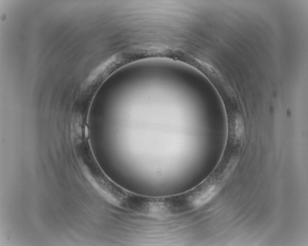 X0000066080264200603241439