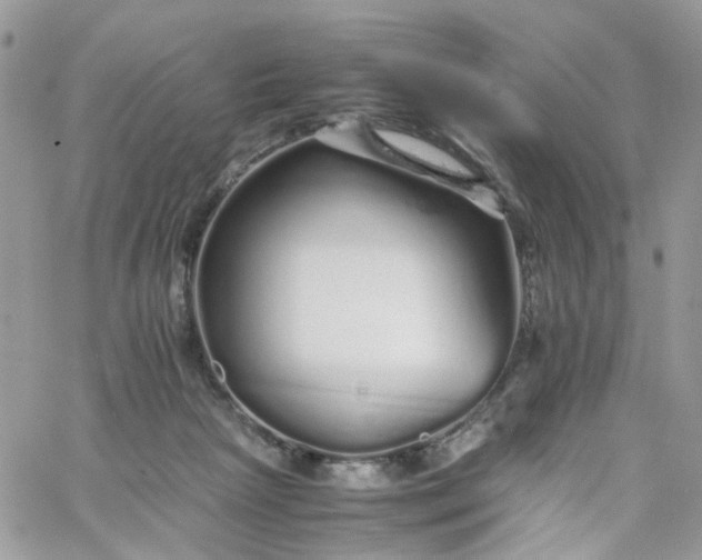 X0000066080265200603241439