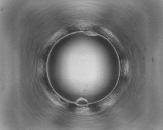 X0000066080266200603241439