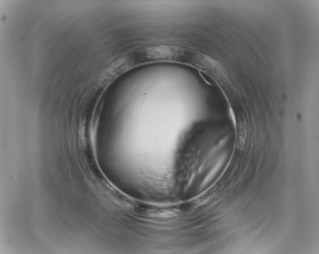 X0000066080267200603241439