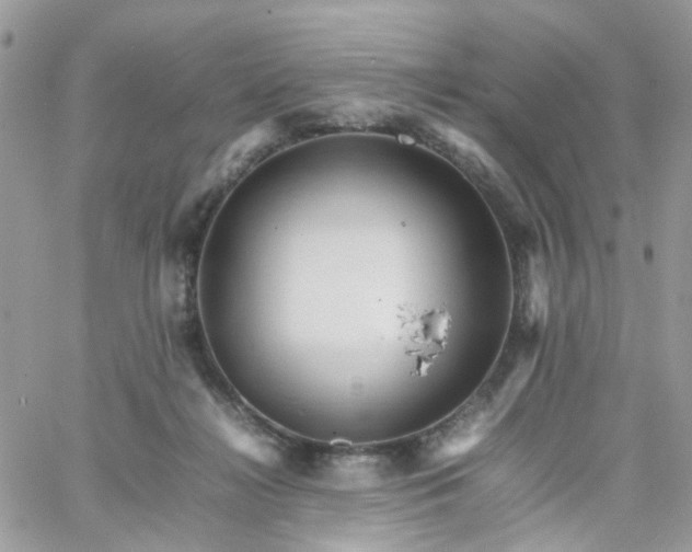 X0000066080268200603241439