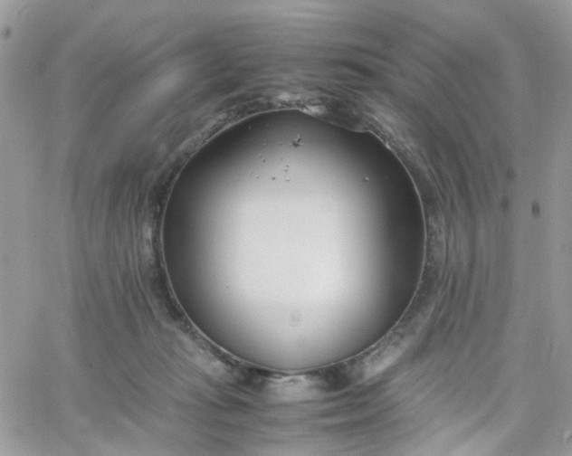 X0000066080269200603241439