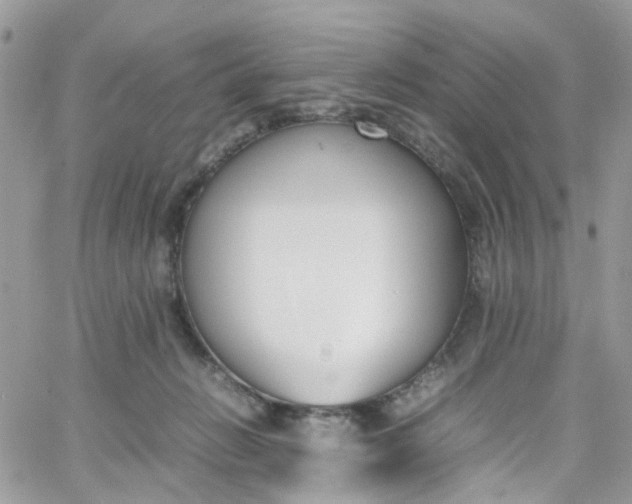 X0000066080270200603241439