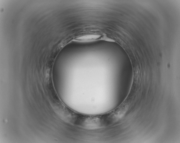 X0000066080271200603241439