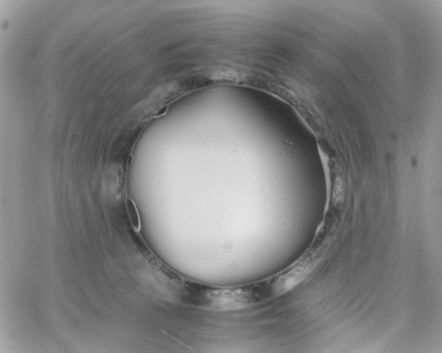 X0000066080273200603241439