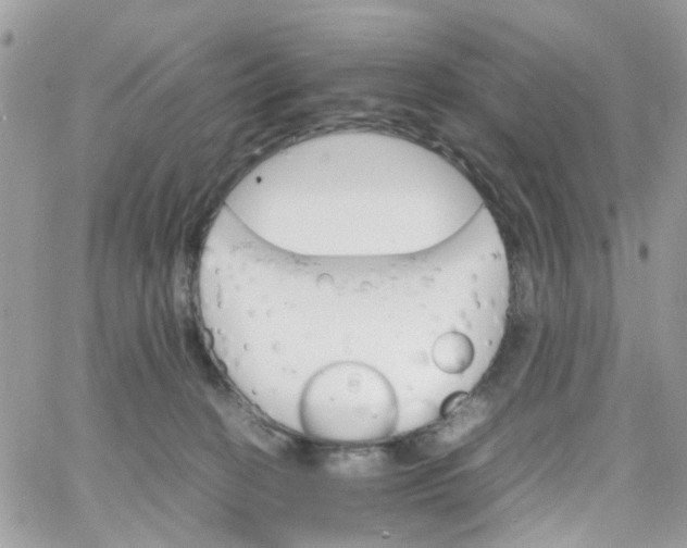 X0000066080274200603241439