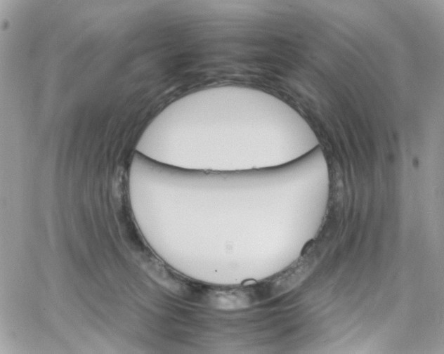 X0000066080275200603241439