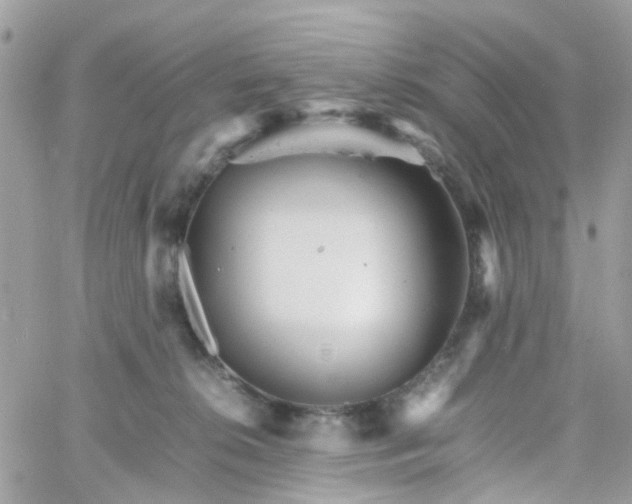 X0000066080276200603241439