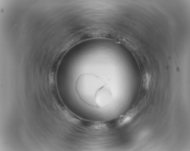 X0000066080278200603241439