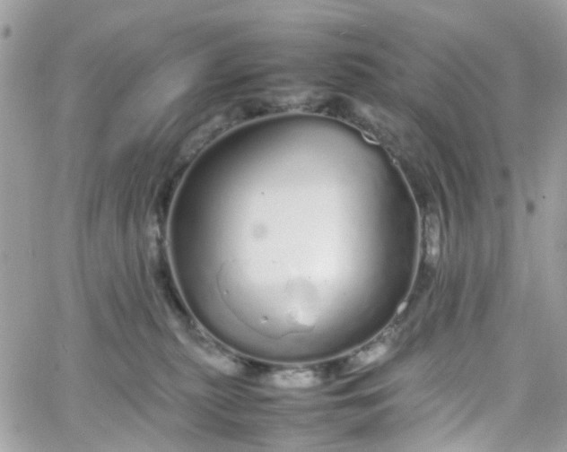 X0000066080279200603241439