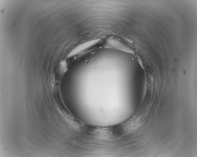 X0000066080280200603241439