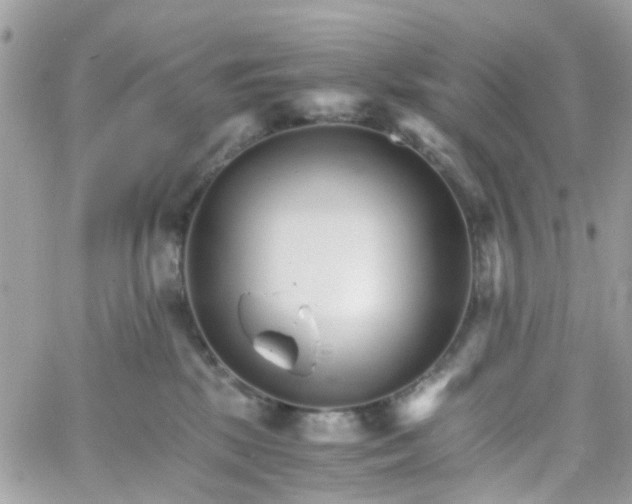 X0000066080281200603241439