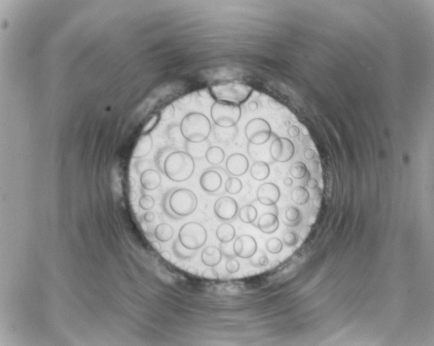 X0000066080282200603241439