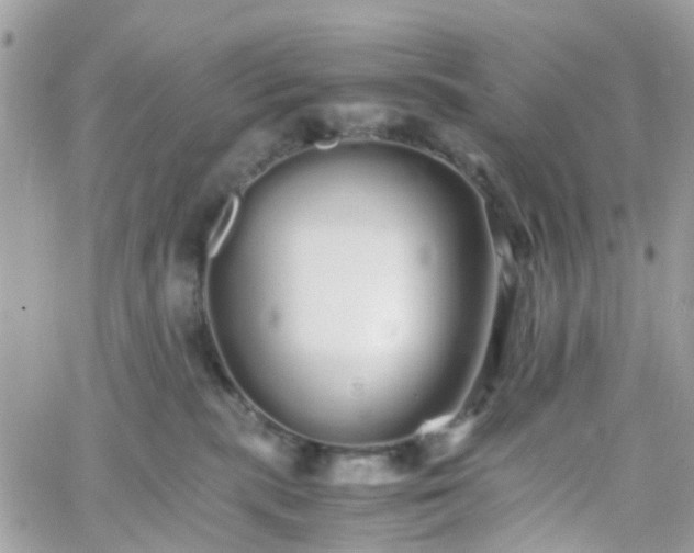 X0000066080283200603241439