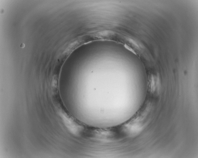 X0000066080284200603241439