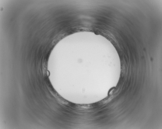 X0000066080285200603241439