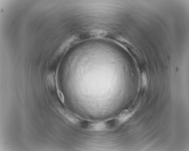 X0000066080286200603241439