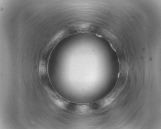 X0000066080287200603241439