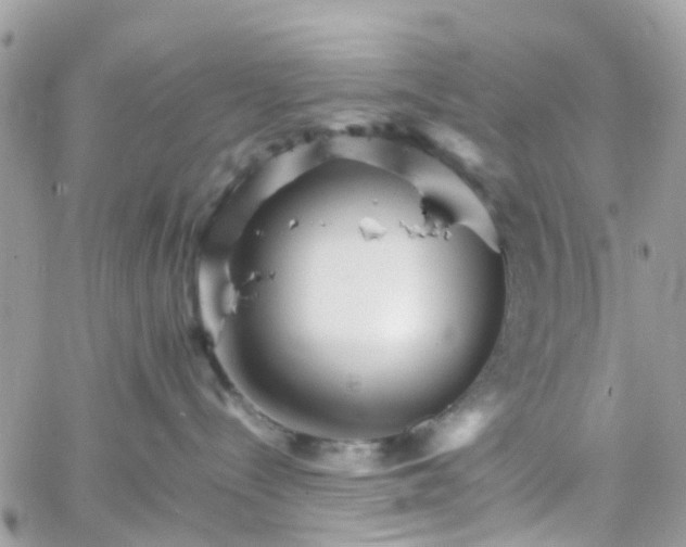 X0000066080288200603241439