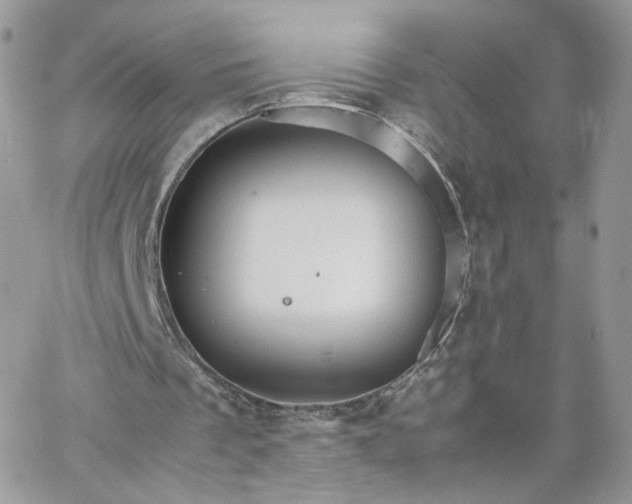 X0000066080289200603241439