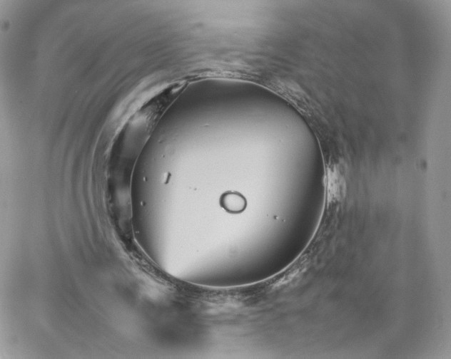 X0000066080291200603241439