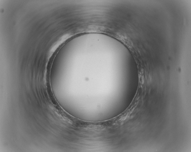 X0000066080292200603241439