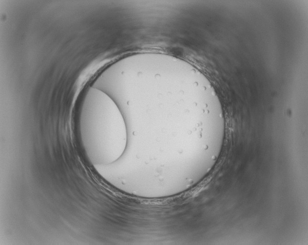 X0000066080294200603241439