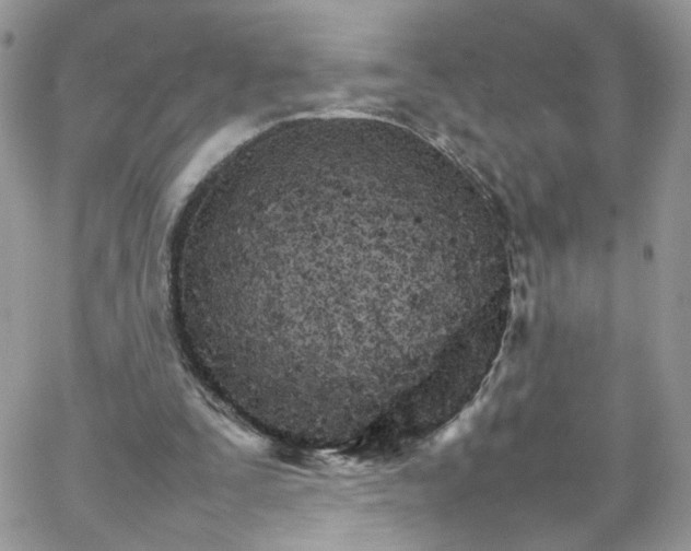 X0000066080295200603241439