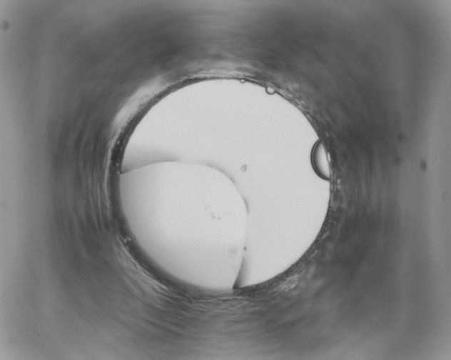 X0000066080296200603241439