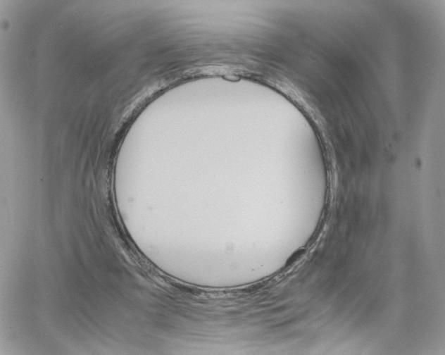 X0000066080297200603241439