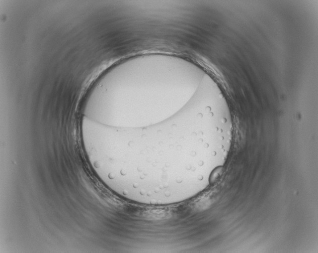 X0000066080298200603241439