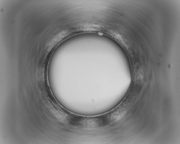 X0000066080299200603241439