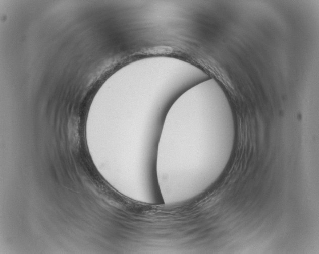 X0000066080300200603241439