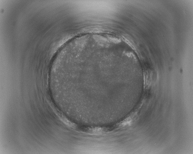 X0000066080301200603241439