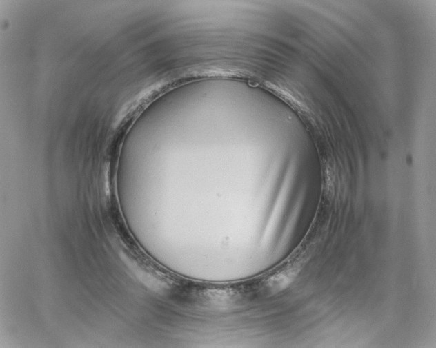 X0000066080302200603241438