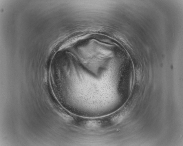 X0000066080303200603241438