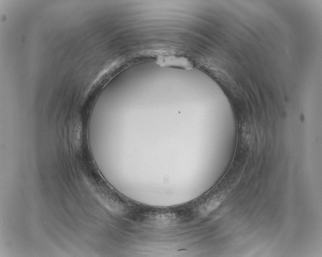 X0000066080304200603241438