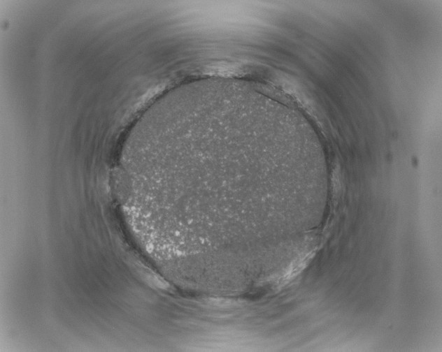 X0000066080305200603241438