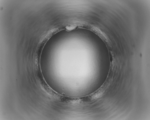 X0000066080306200603241438