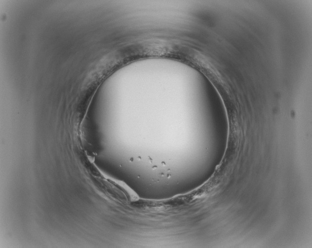 X0000066080307200603241438