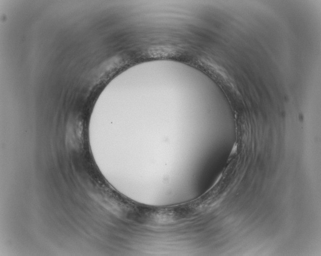 X0000066080308200603241438