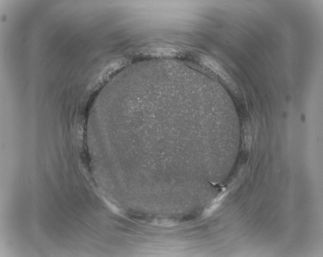 X0000066080309200603241438