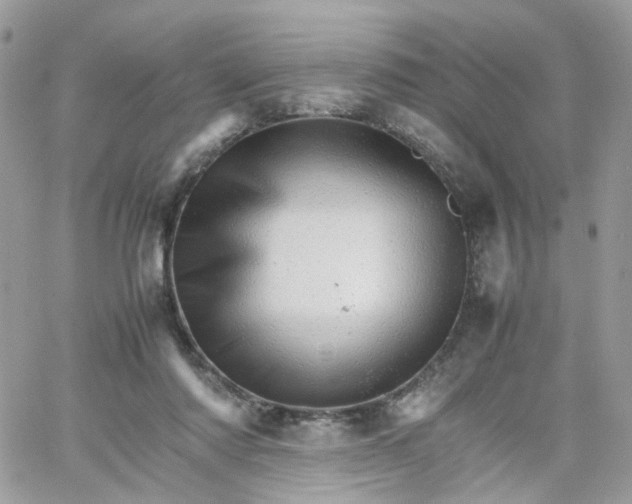 X0000066080310200603241438