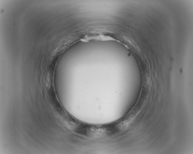 X0000066080311200603241438