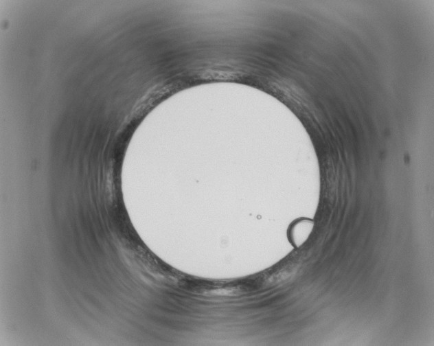 X0000066080312200603241438