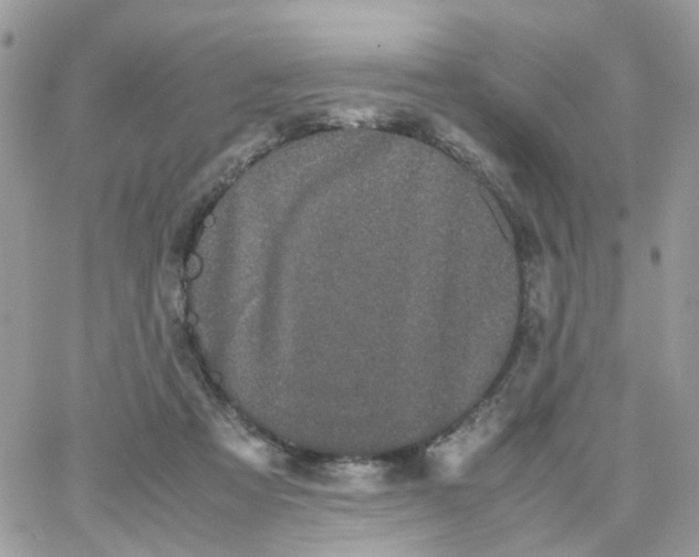 X0000066080313200603241438